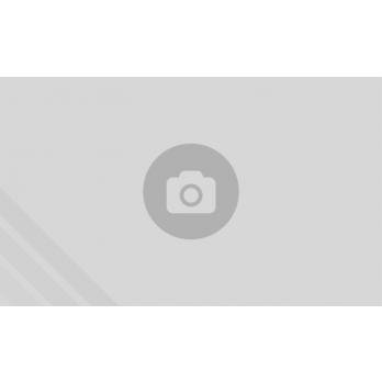 Miss Swiss Oktoberfest Kleidung Trachtenkostüm